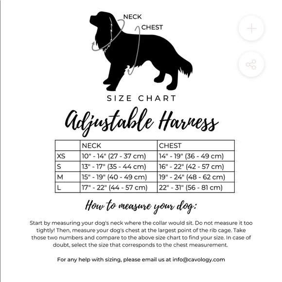 Cavology Dog bundle - Picture 2 of 3